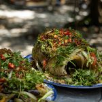 Về Trà Lộc phá trằm