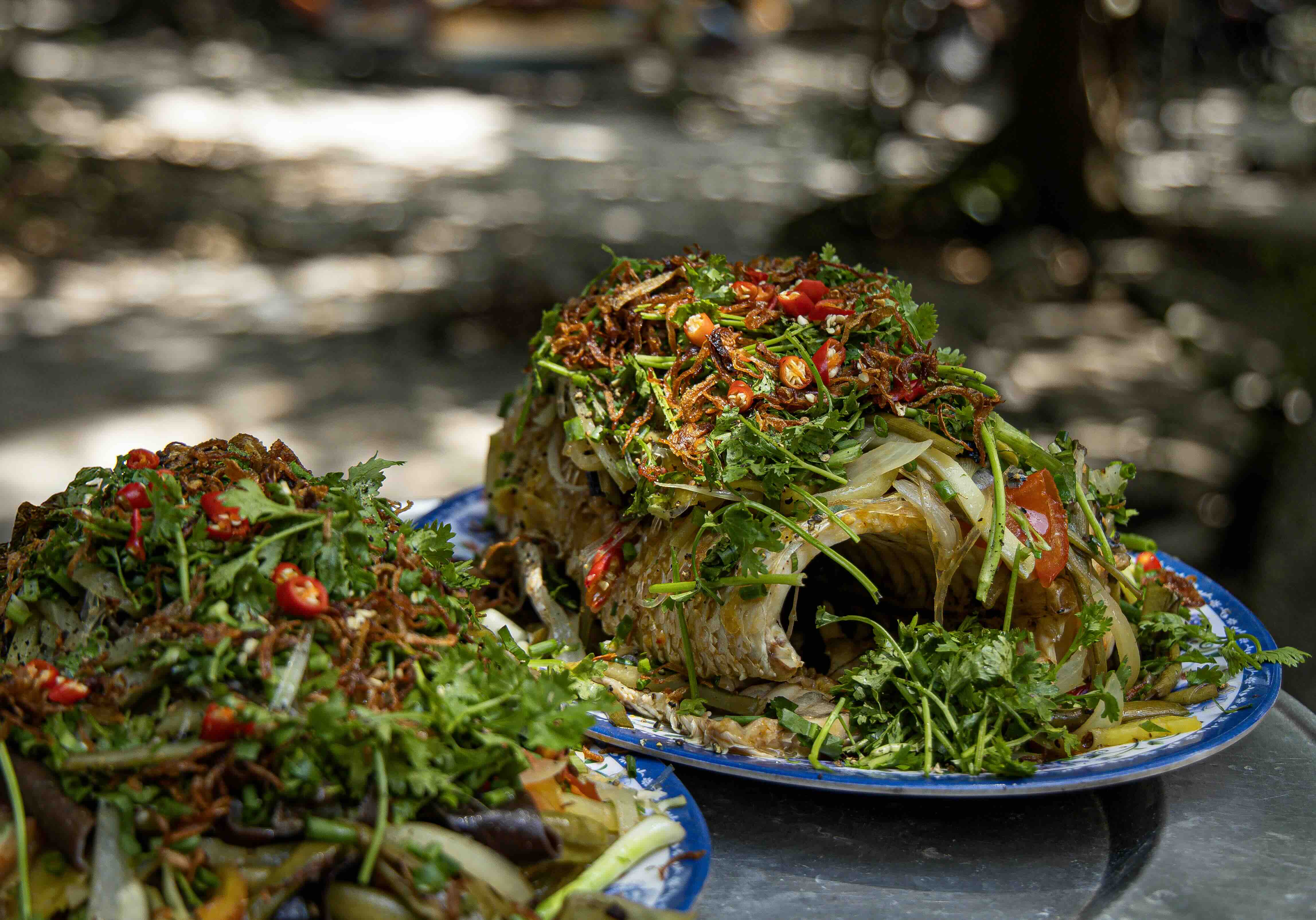 Về Trà Lộc phá trằm