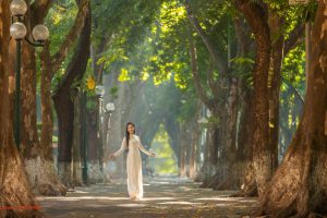 7 trải nghiệm Hanoi-core để cảm nhận trọn vẹn chất thơ của Thủ đô