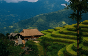 Top điểm du lịch mùa thu đẹp nhất Bắc – Trung – Nam