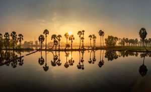 Mùa nước nổi kể chuyện miền Tây