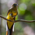 Khoảnh khắc sinh tồn