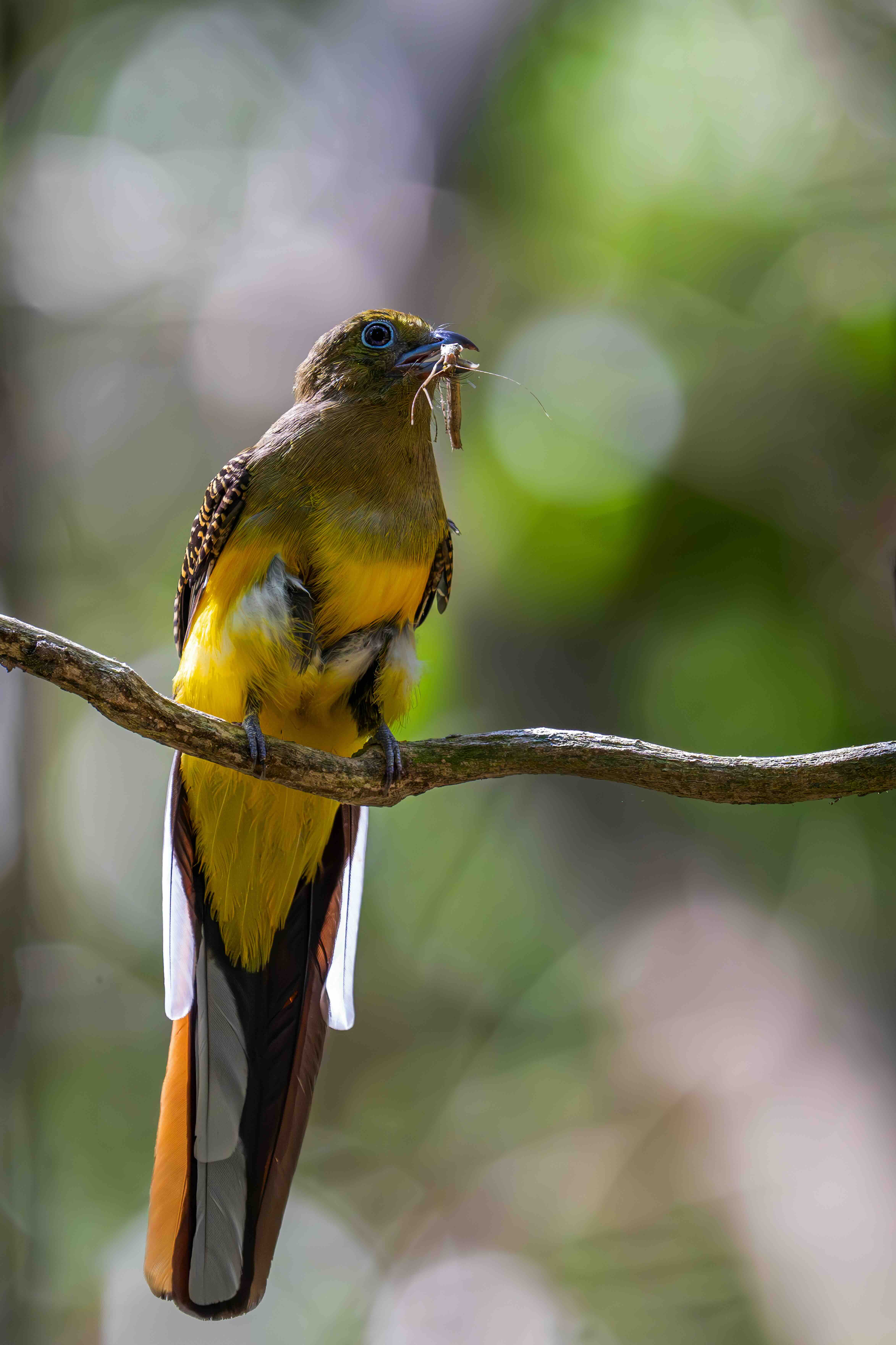 Khoảnh khắc sinh tồn