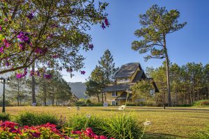 Những điểm đến lý tưởng cho hội bạn: Đà Lạt, Hội An hay resort ngoại ô