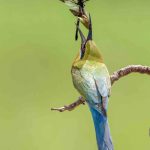 Khoảnh khắc sinh tồn