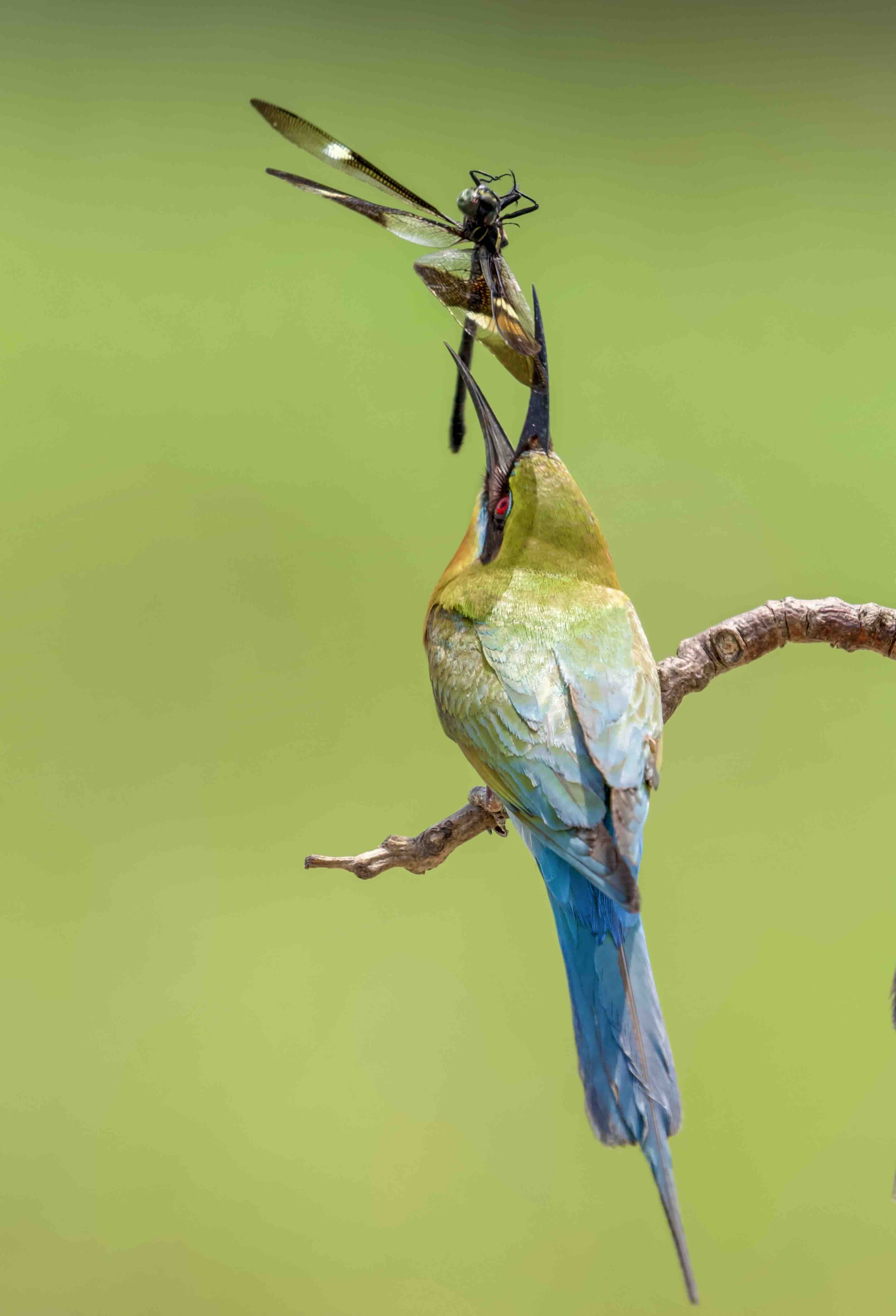 Khoảnh khắc sinh tồn