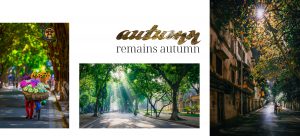 Autumn remains autumn