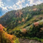 Nàng thơ báo xuân về