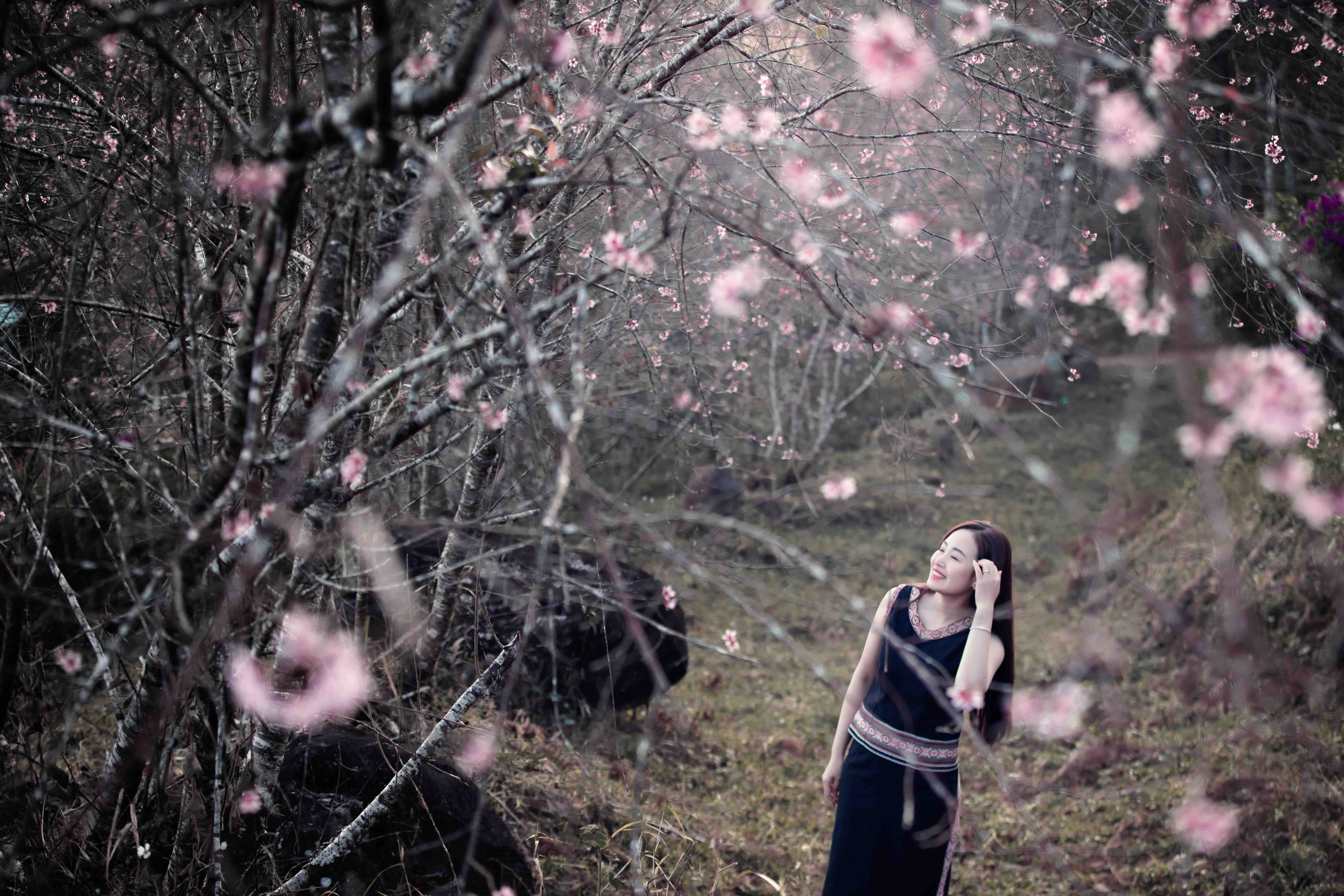 Nàng thơ báo xuân về