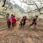 Rosy cheeks and clear eyes