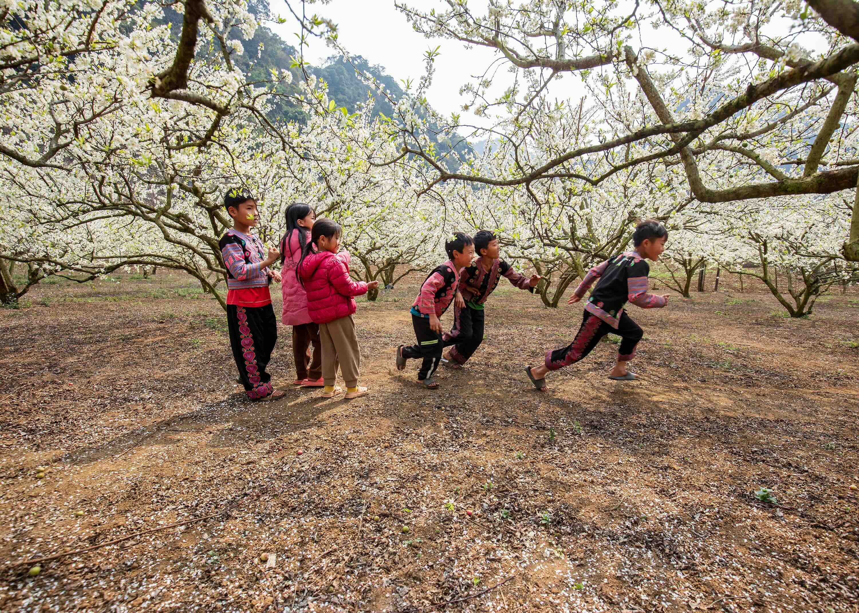 Rosy cheeks and clear eyes