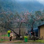 Rosy cheeks and clear eyes