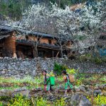 Rosy cheeks and clear eyes