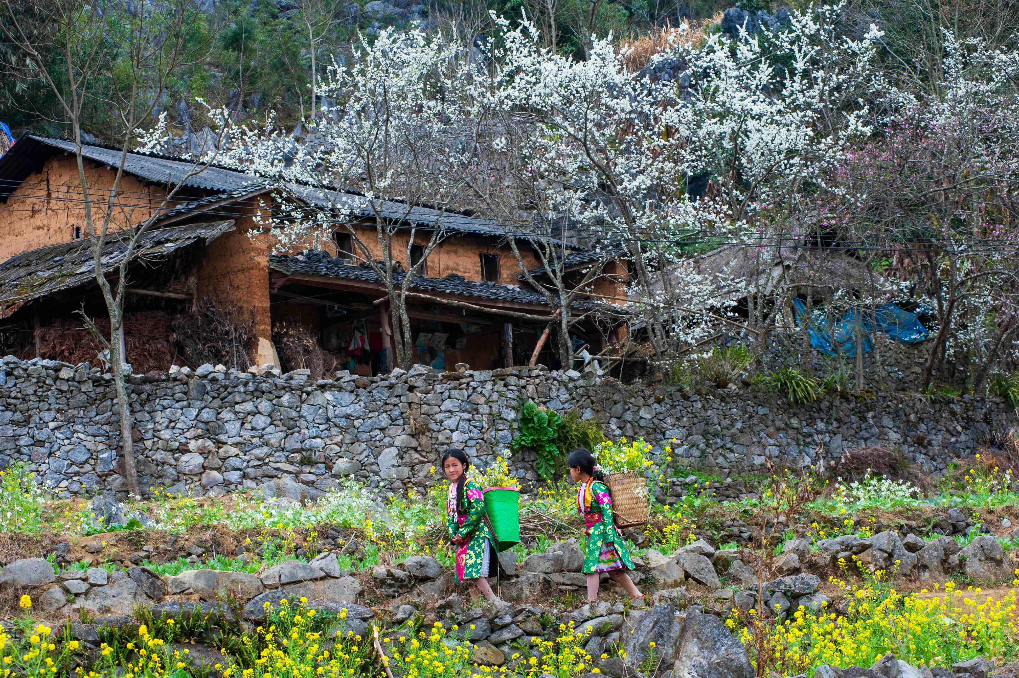 Rosy cheeks and clear eyes
