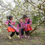 Rosy cheeks and clear eyes