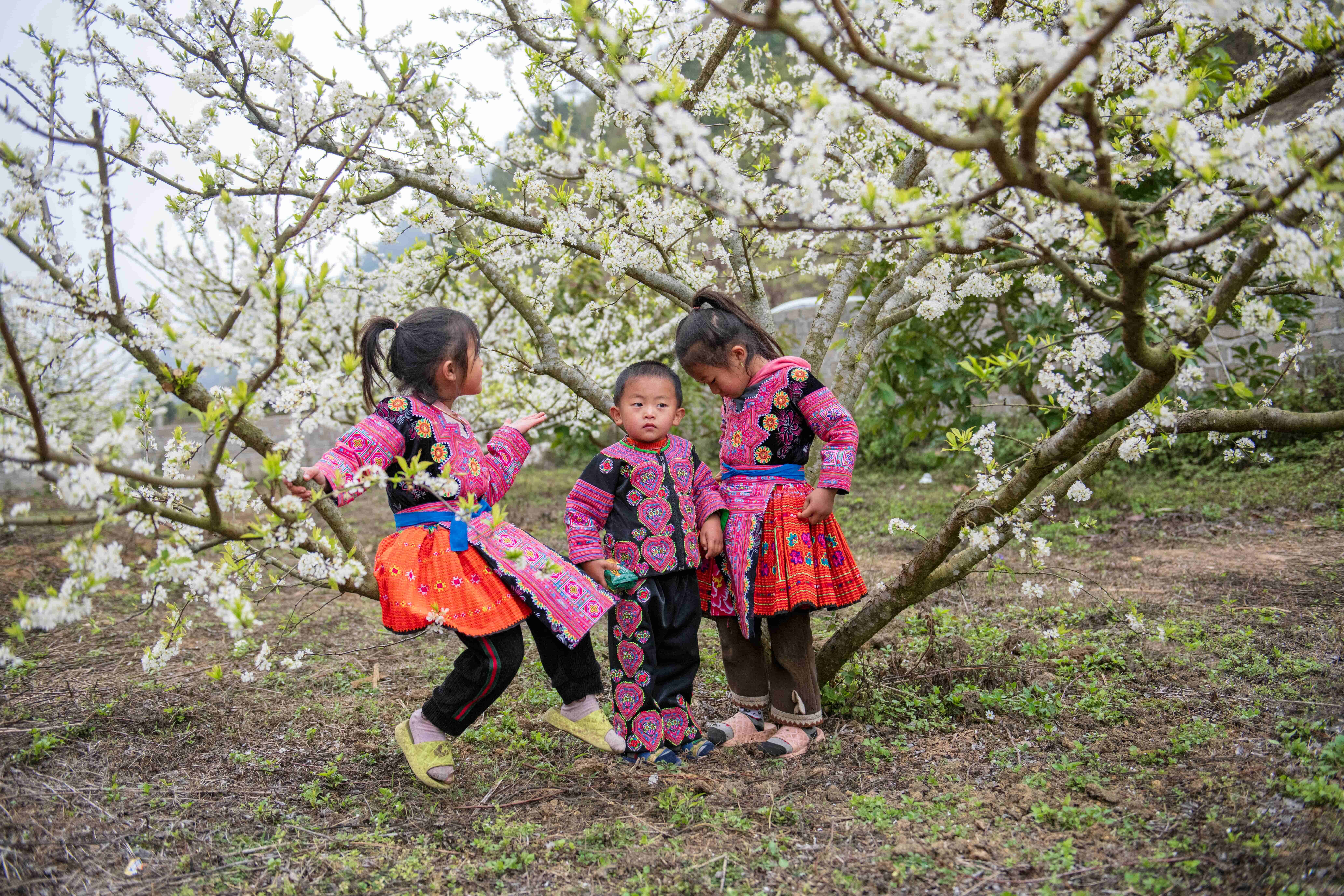 Rosy cheeks and clear eyes