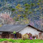 Rosy cheeks and clear eyes