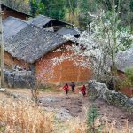 Rosy cheeks and clear eyes