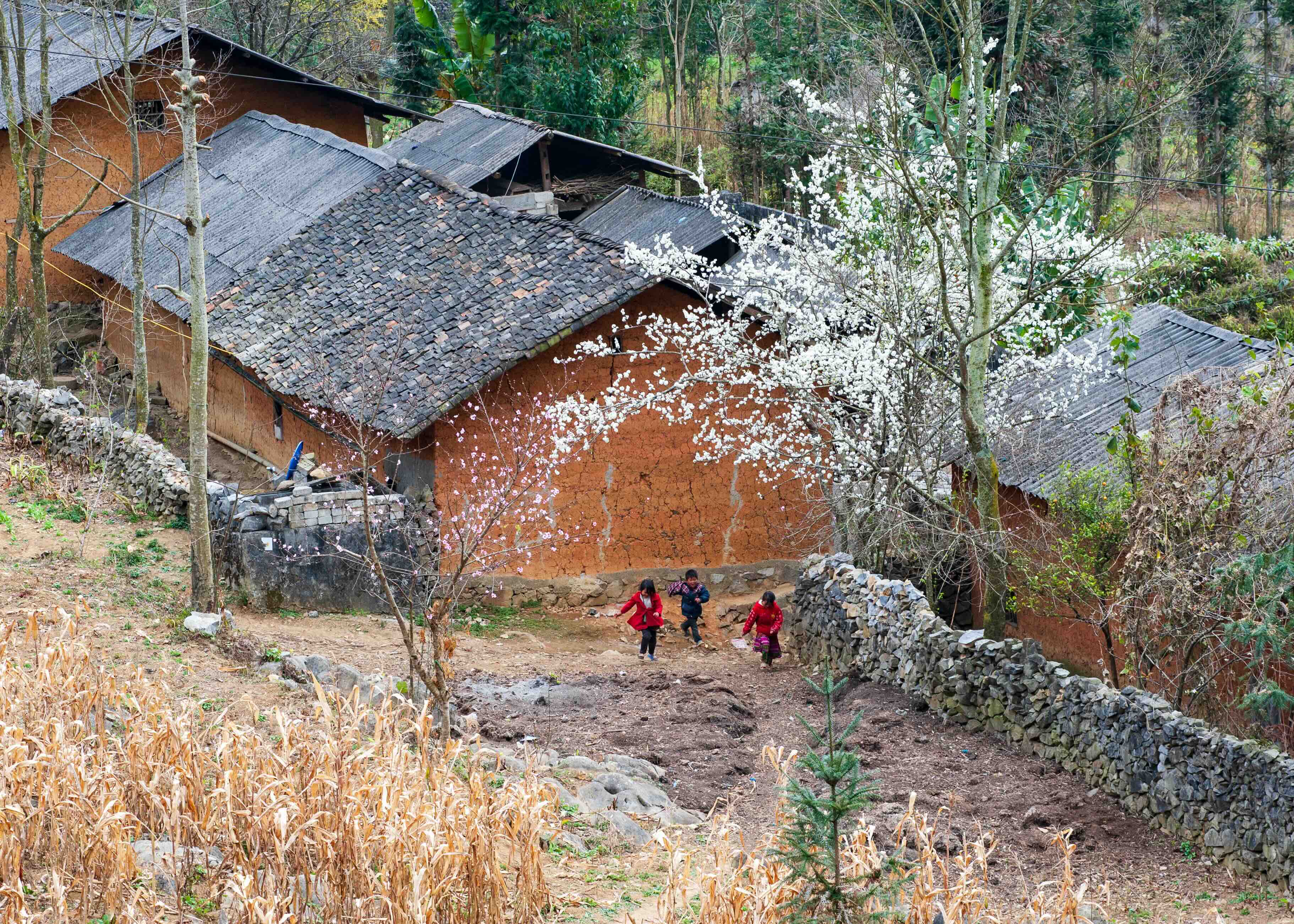Rosy cheeks and clear eyes