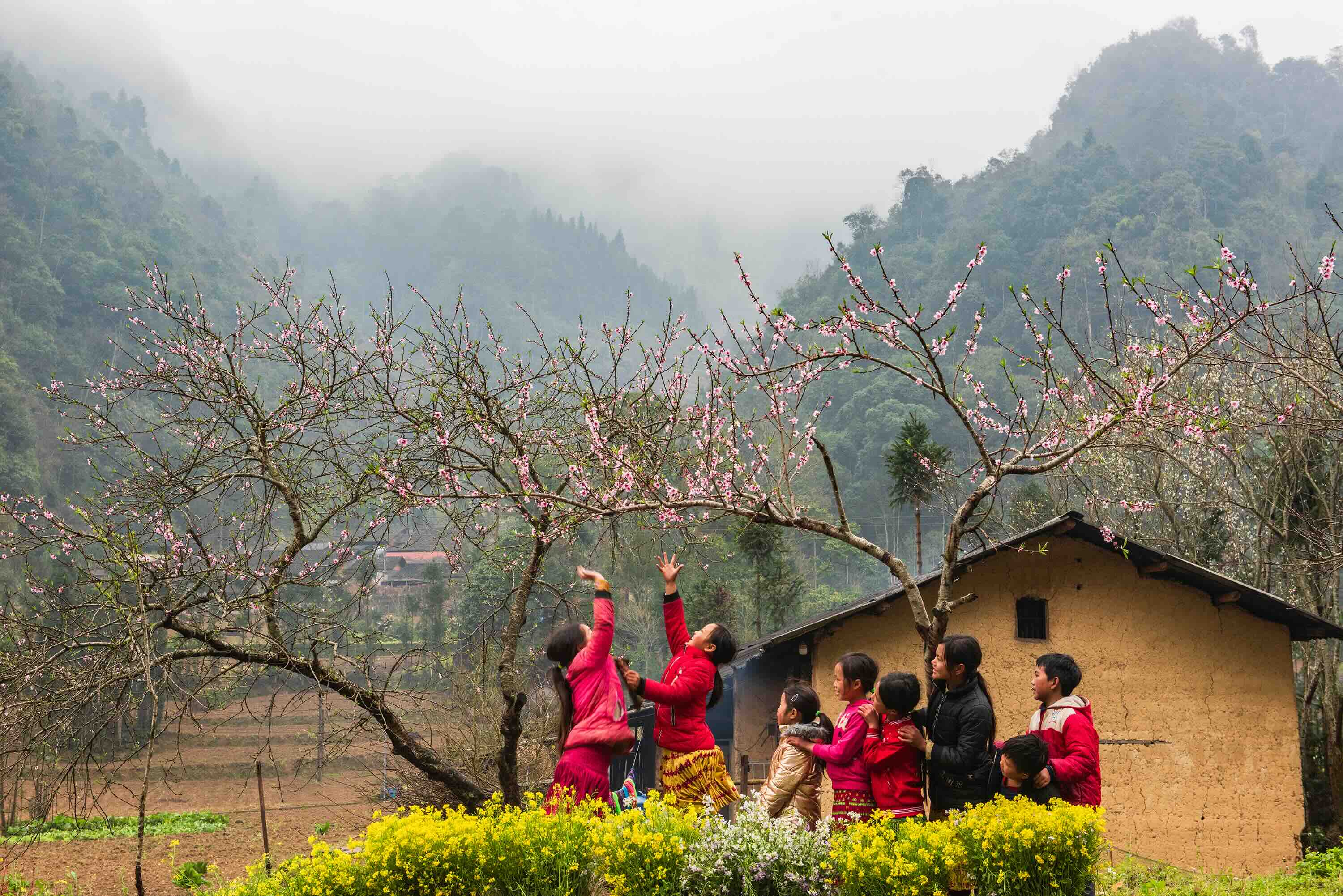 Rosy cheeks and clear eyes