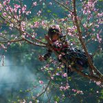 Rosy cheeks and clear eyes