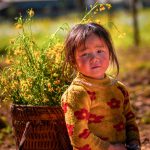 Rosy cheeks and clear eyes