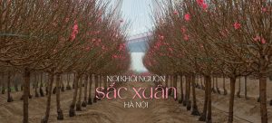 Nơi khởi nguồn sắc xuân Hà Nội